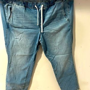 NWOT Torrid Pull On Jeans, Denim pants, Size 2s, Short